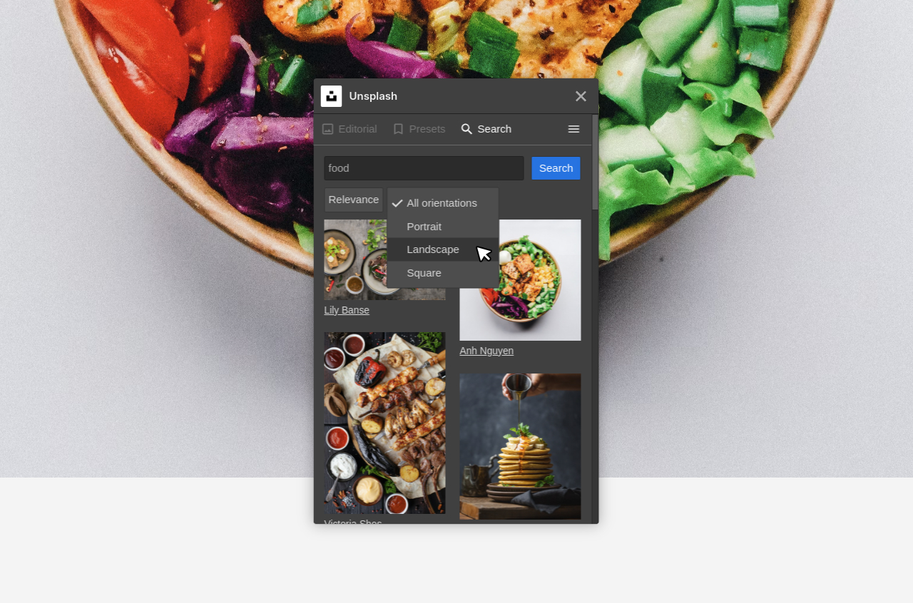 Unsplash search page filter